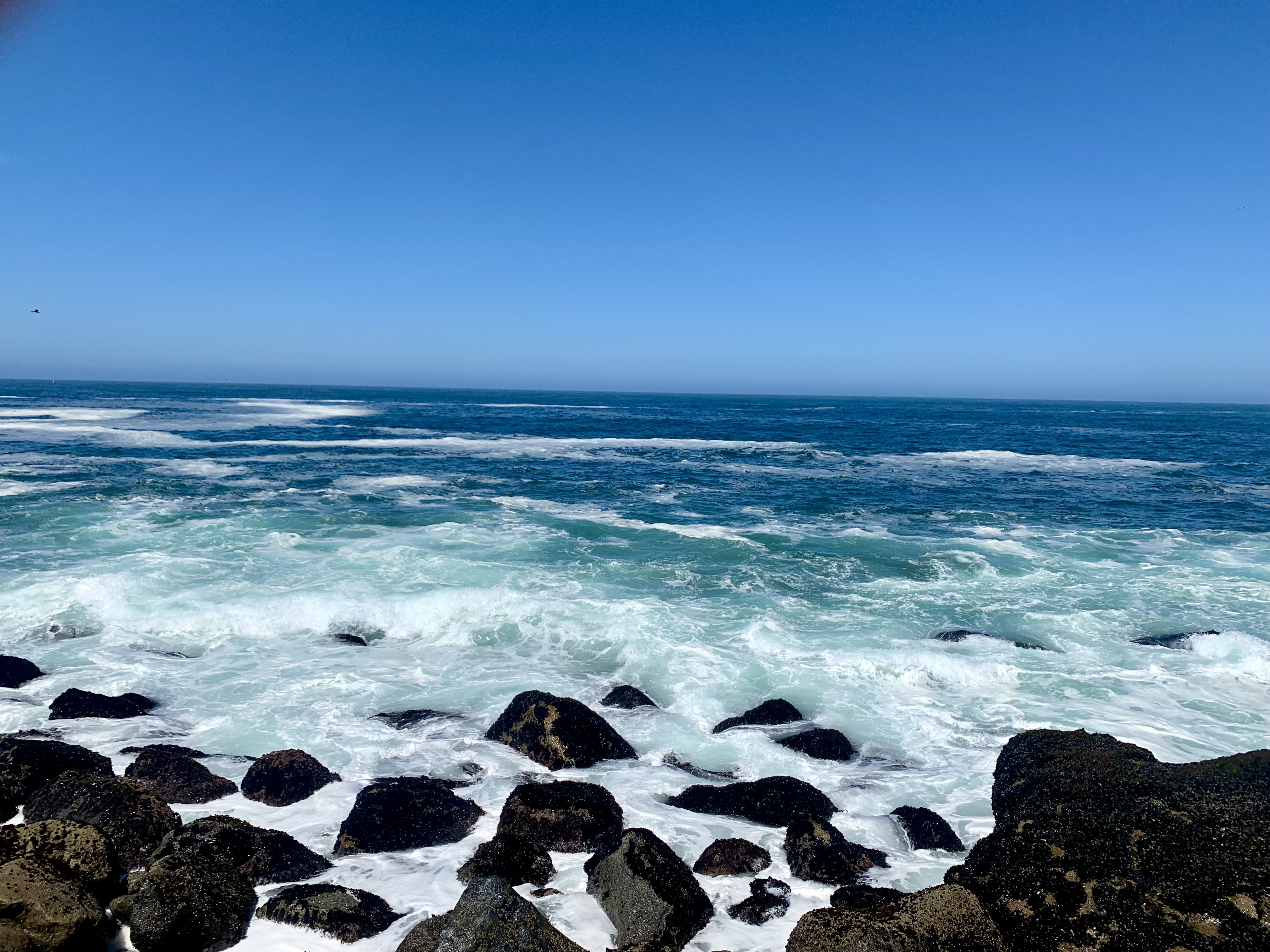 Morro Rock……旁边的海景