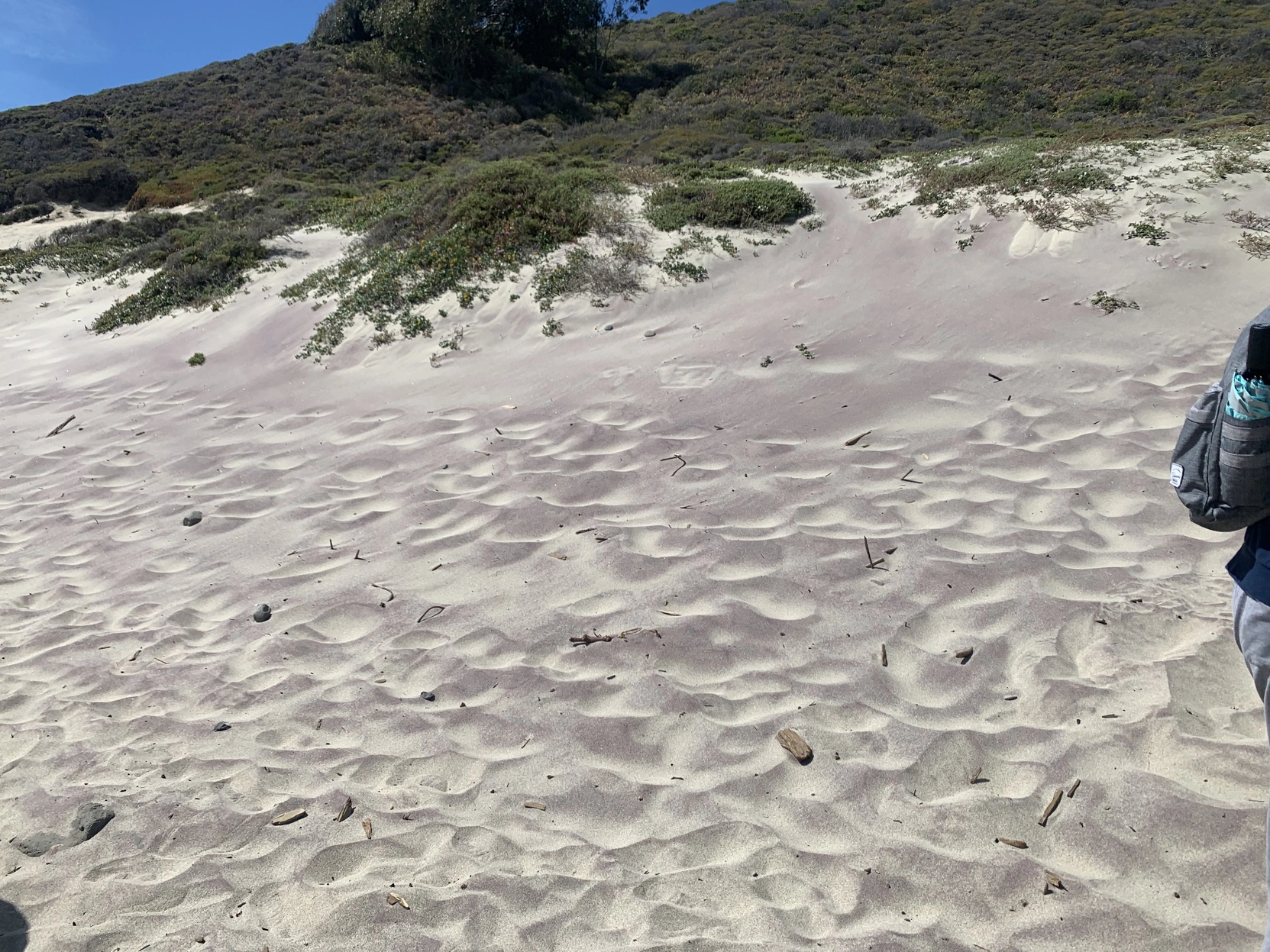 <p>Pfeiffer Beach 紫色沙滩买家秀</p>

