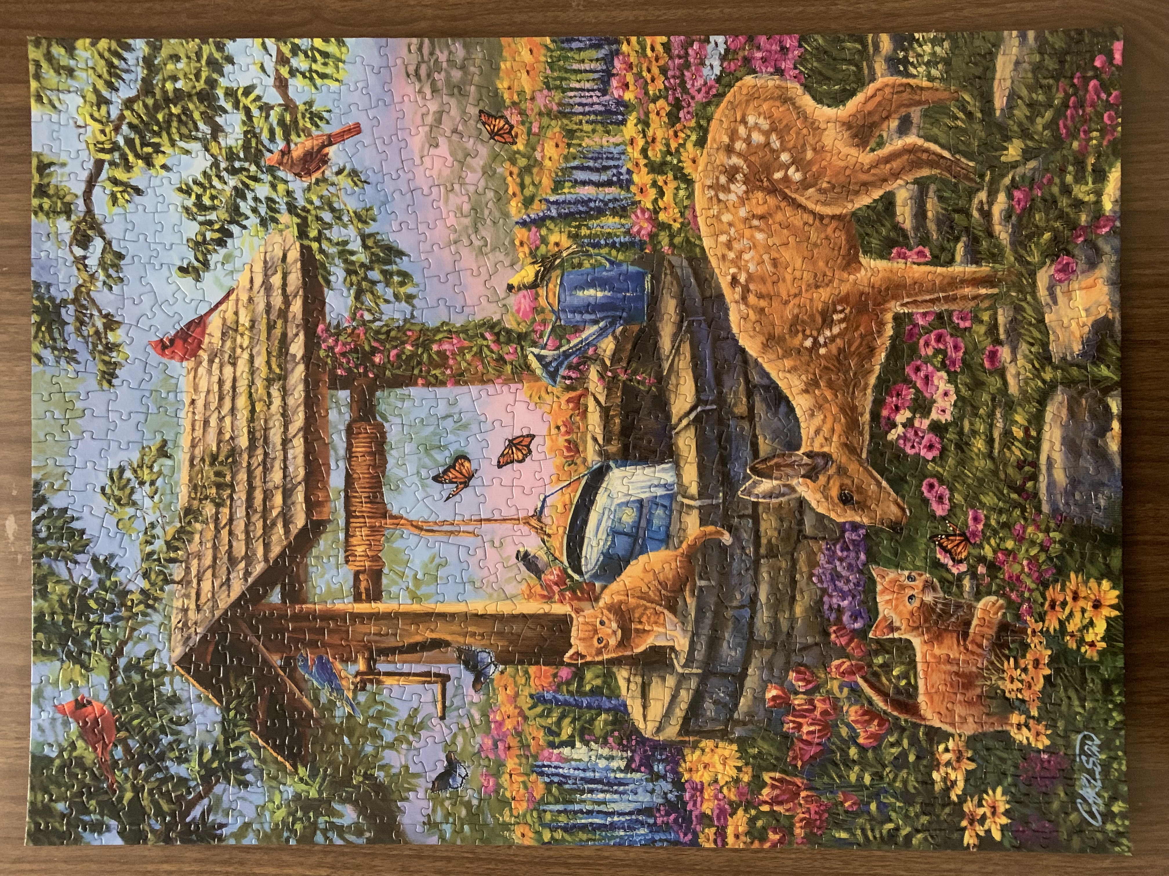 Wishing Well