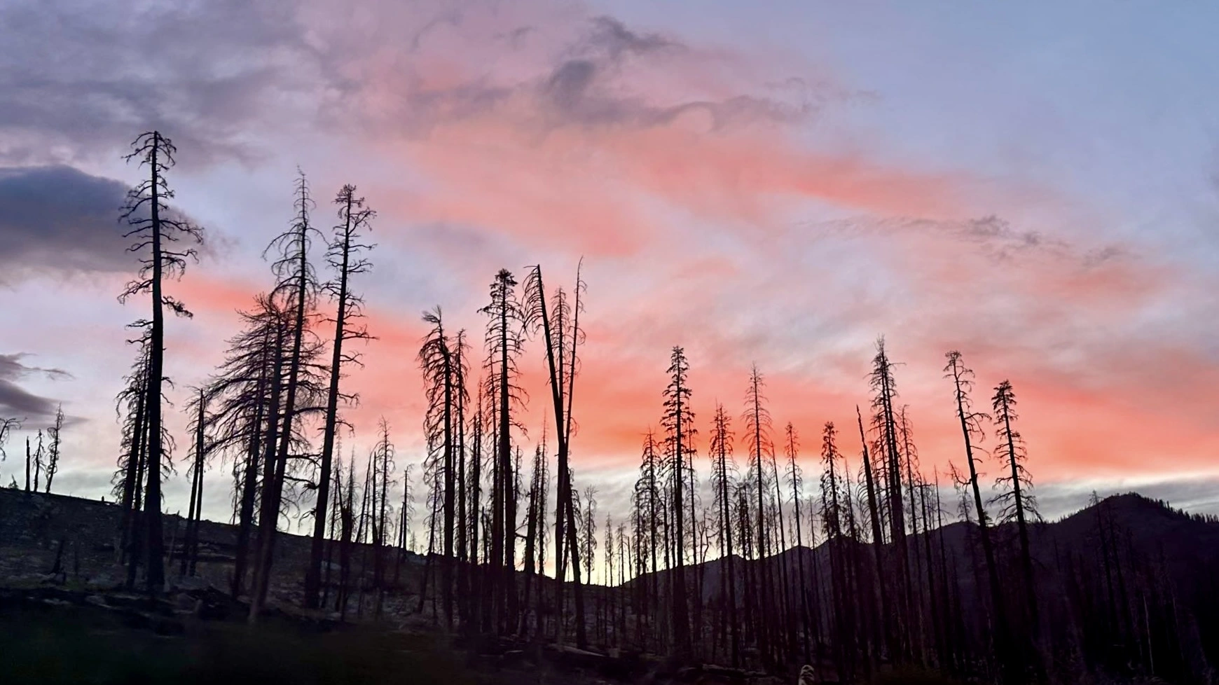 <p>回家路上拍的晚霞</p>
