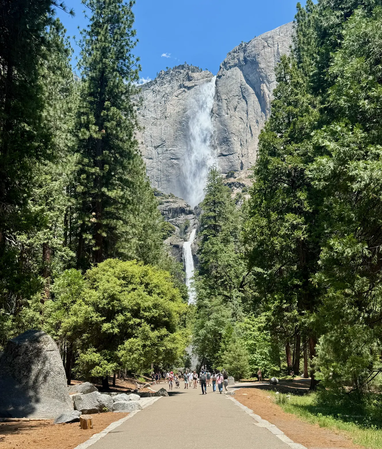 <p>Yosemite Falls</p>
